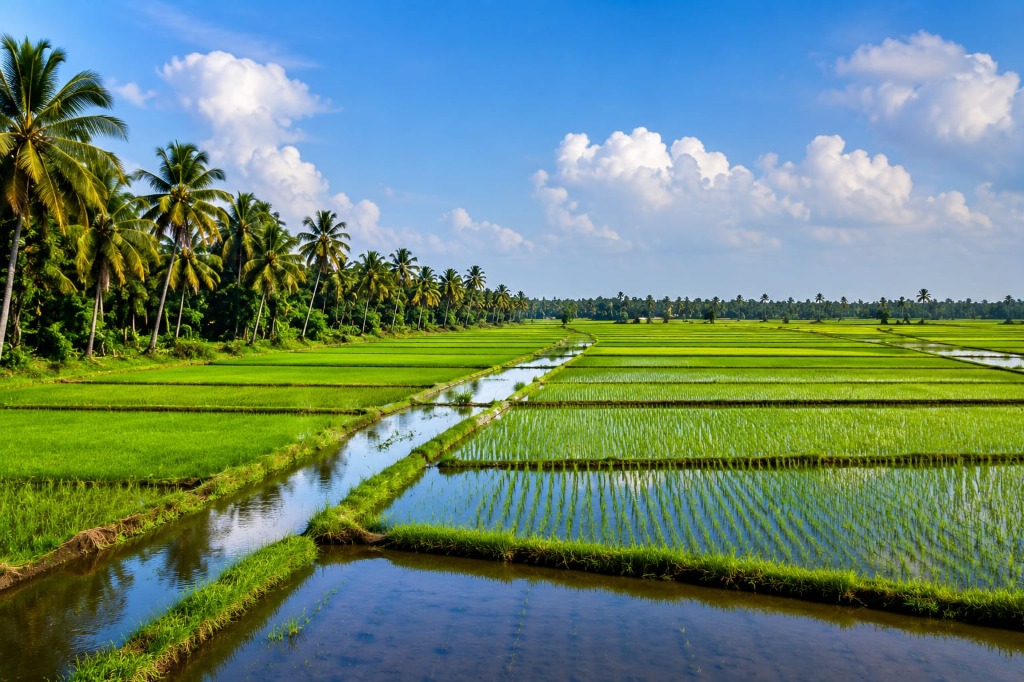 Kuttanad